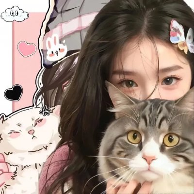 猎豹行动